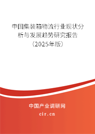 中國集裝箱物流行業(yè)現(xiàn)狀分析與發(fā)展趨勢研究報(bào)告（2025年版）