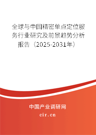 全球與中國(guó)精密單點(diǎn)定位服務(wù)行業(yè)研究及前景趨勢(shì)分析報(bào)告（2025-2031年）