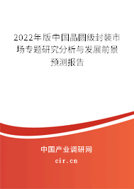 2022年版中國晶圓級封裝市場專題研究分析與發(fā)展前景預(yù)測報告