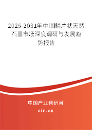 2025-2031年中國鱗片狀天然石墨市場深度調(diào)研與發(fā)展趨勢報(bào)告