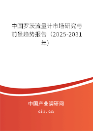 中國羅茨流量計(jì)市場研究與前景趨勢報(bào)告（2025-2031年）