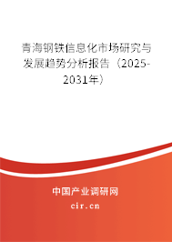 青海鋼鐵信息化市場研究與發(fā)展趨勢分析報告（2025-2031年）