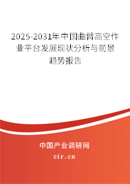 2025-2031年中國曲臂高空作業(yè)平臺發(fā)展現(xiàn)狀分析與前景趨勢報告