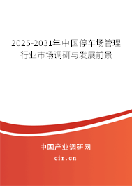 2025-2031年中國停車場管理行業(yè)市場調(diào)研與發(fā)展前景