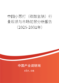 中國(guó)小蘇打（碳酸氫鈉）行業(yè)現(xiàn)狀與市場(chǎng)前景分析報(bào)告（2025-2031年）