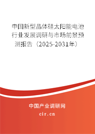 中國(guó)新型晶體硅太陽(yáng)能電池行業(yè)發(fā)展調(diào)研與市場(chǎng)前景預(yù)測(cè)報(bào)告（2025-2031年）