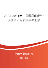 2025-2031年中國樟腦油行業(yè)現(xiàn)狀調(diào)研與發(fā)展前景報(bào)告