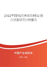 2011中國91綜合娛樂網站/媒介測量研究分析報告