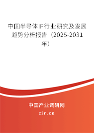 中國(guó)半導(dǎo)體IP行業(yè)研究及發(fā)展趨勢(shì)分析報(bào)告（2025-2031年）