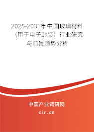 2025-2031年中國(guó)玻璃材料（用于電子封裝）行業(yè)研究與前景趨勢(shì)分析