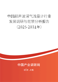 中國超聲波沼氣流量計行業(yè)發(fā)展調(diào)研與前景分析報告（2025-2031年）