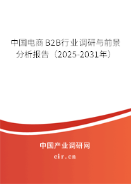 中國電商B2B行業(yè)調(diào)研與前景分析報(bào)告（2025-2031年）