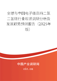全球與中國電子級高純二氯二氫硅行業(yè)現(xiàn)狀調(diào)研分析及發(fā)展趨勢預(yù)測報(bào)告（2025年版）