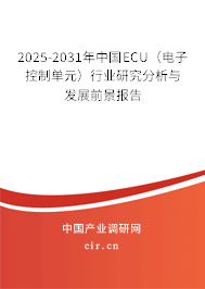 2025-2031年中國ECU（電子控制單元）行業(yè)研究分析與發(fā)展前景報告