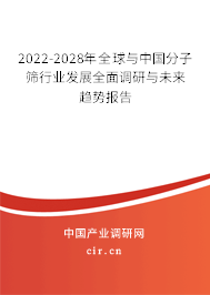 2022-2028年全球與中國分子篩行業(yè)發(fā)展全面調(diào)研與未來趨勢報告