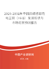 2025-2031年中國(guó)高磁感取向電工鋼（Hi-B）發(fā)展現(xiàn)狀與市場(chǎng)前景預(yù)測(cè)報(bào)告