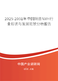 2025-2031年中國(guó)隔音NVH行業(yè)現(xiàn)狀與發(fā)展前景分析報(bào)告