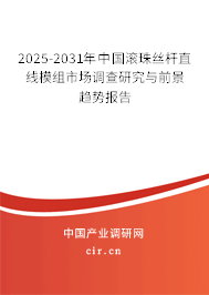 2025-2031年中國滾珠絲桿直線模組市場調(diào)查研究與前景趨勢報(bào)告