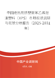 中國絕熱用擠塑聚苯乙烯泡沫塑料（XPS）市場現(xiàn)狀調(diào)研與前景分析報告（2025-2031年）
