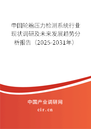 中國(guó)輪胎壓力檢測(cè)系統(tǒng)行業(yè)現(xiàn)狀調(diào)研及未來(lái)發(fā)展趨勢(shì)分析報(bào)告（2025-2031年）