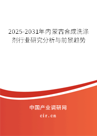2025-2031年內蒙古合成洗滌劑行業(yè)研究分析與前景趨勢