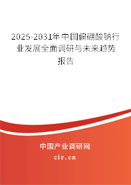 2025-2031年中國偏硼酸鈉行業(yè)發(fā)展全面調(diào)研與未來趨勢報告