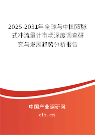2025-2031年全球與中國(guó)雙脈式?jīng)_流量計(jì)市場(chǎng)深度調(diào)查研究與發(fā)展趨勢(shì)分析報(bào)告