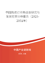中國(guó)陶瓷燈市場(chǎng)調(diào)查研究與發(fā)展前景分析報(bào)告（2025-2031年）
