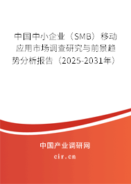 中國中小企業(yè)（SMB）移動應(yīng)用市場調(diào)查研究與前景趨勢分析報(bào)告（2025-2031年）