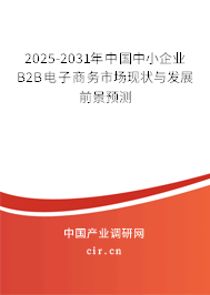 2025-2031年中國(guó)中小企業(yè)B2B電子商務(wù)市場(chǎng)現(xiàn)狀與發(fā)展前景預(yù)測(cè)