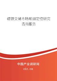 磁鐵交易市場項目定位研究咨詢報告
