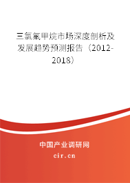 三氯氟甲烷市場深度剖析及發(fā)展趨勢預測報告（2012-2018）