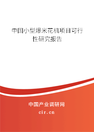 中國(guó)小型爆米花機(jī)項(xiàng)目可行性研究報(bào)告