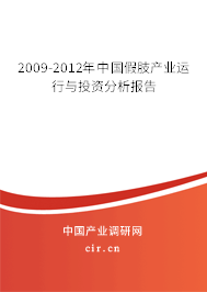 2009-2012年中國(guó)假肢產(chǎn)業(yè)運(yùn)行與投資分析報(bào)告