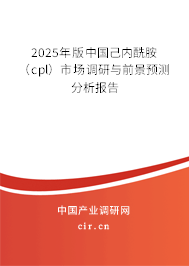 2025年版中國己內(nèi)酰胺（cpl）市場調(diào)研與前景預測分析報告