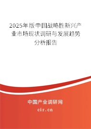 2025年版中國戰(zhàn)略性新興產(chǎn)業(yè)市場現(xiàn)狀調(diào)研與發(fā)展趨勢分析報告