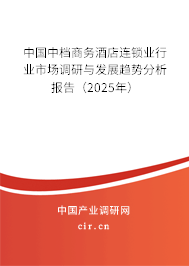 中國(guó)中檔商務(wù)酒店連鎖業(yè)行業(yè)市場(chǎng)調(diào)研與發(fā)展趨勢(shì)分析報(bào)告（2025年）