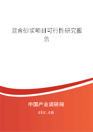 混合砂漿項目可行性研究報告