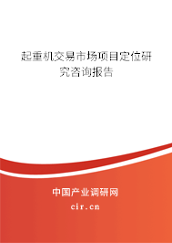 起重機交易市場項目定位研究咨詢報告