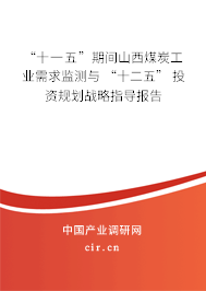 “十一五”期間山西煤炭工業(yè)需求監(jiān)測(cè)與 “十二五” 投資規(guī)劃戰(zhàn)略指導(dǎo)報(bào)告