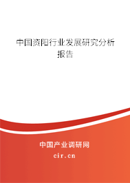 中國資陽行業(yè)發(fā)展研究分析報告