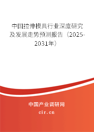中國(guó)拉伸模具行業(yè)深度研究及發(fā)展走勢(shì)預(yù)測(cè)報(bào)告（2025-2031年）