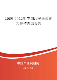 2009-2012年中國起子頭調(diào)查及投資咨詢報(bào)告