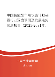 中國智能型車用儀表計數(shù)裝置行業(yè)深度調研及發(fā)展走勢預測報告（2025-2031年）
