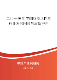 二〇一三年中國煤質(zhì)活性炭行業(yè)發(fā)展回顧與展望報告