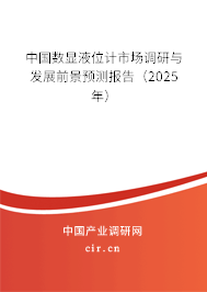 中國數(shù)顯液位計(jì)市場調(diào)研與發(fā)展前景預(yù)測報(bào)告（2025年）