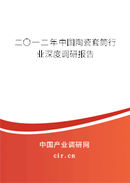 二〇一二年中國陶瓷套筒行業(yè)深度調研報告