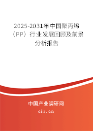 2025-2031年中國聚丙烯（PP）行業(yè)發(fā)展回顧及前景分析報告