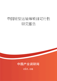 中國輕型運(yùn)輸帶項(xiàng)目可行性研究報(bào)告