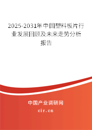 2025-2031年中國(guó)塑料板片行業(yè)發(fā)展回顧及未來走勢(shì)分析報(bào)告